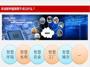 北京東谷物聯網遠程測控系統 自動化軟件研發的核心價值與實踐